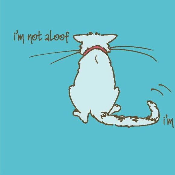 SMALL Ladies Distressed Blue Tee - I'm Not Aloof ... I'm Ignoring You NEW - Picture 2 of 9